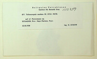 Image of Telimena ecastophylli